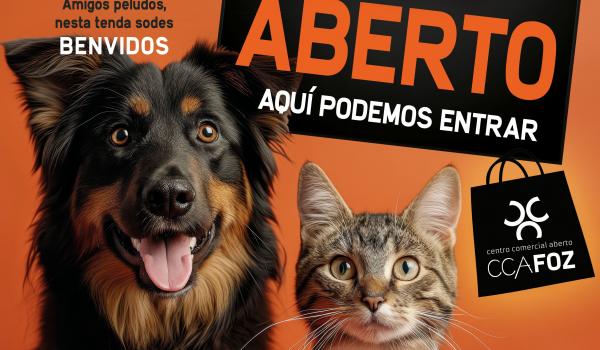 Campaña